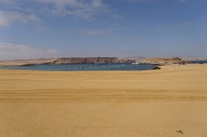 DSC05681  